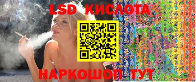 гашик Будённовск