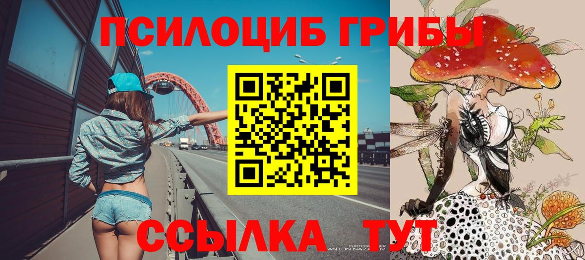 Псилоцибиновые грибы ЛСД Сорочинск