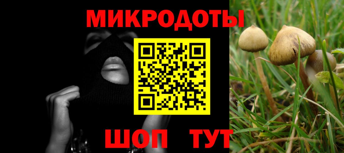 Галлюциногенные грибы Psilocybe  Псилоцибиновые грибы мухоморы  Сорочинск  Вход с VPN 
